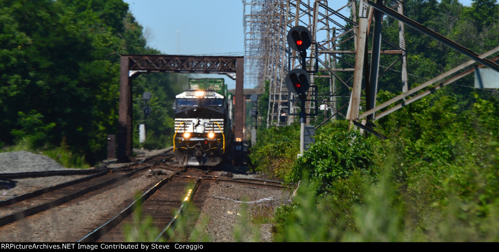 NS 4811 leads NS 22X